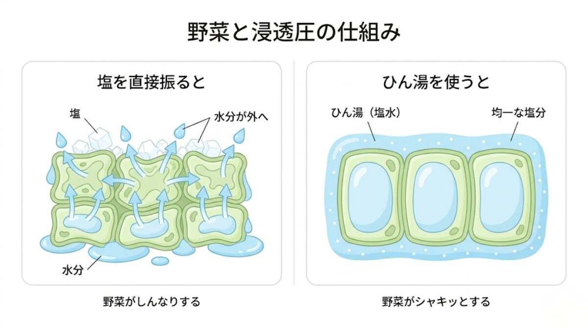 塩を直接振った場合とひん湯を使った場合の野菜細胞の比較図。浸透圧で水分が引き出される仕組みを図解